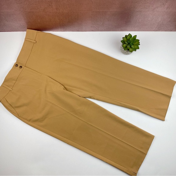 Anthropologie Tapemeasure Solid Tan Brown Capri Pants Women Size 10 - Picture 1 of 6